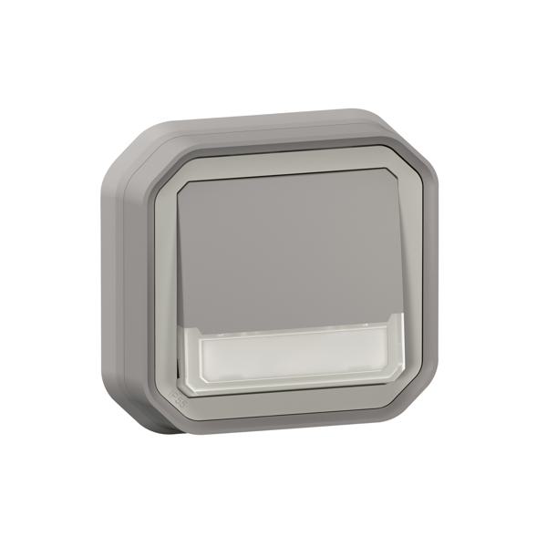POUSSOIR INV LUM P-E GRIS ENC